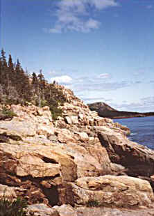 Shore Scene in Acadia National Park