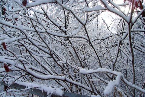 Mother Nature at her Finest! Near Dansville, NY