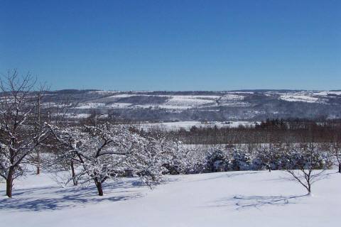 Photo Just north of Dansville, NY