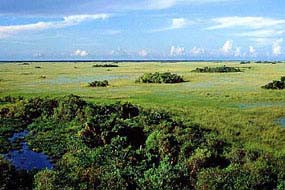 Everglades Nat'l Park as shown on the NPS website.
