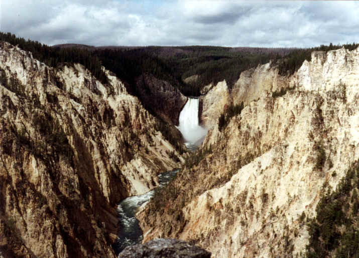 Lower Falls of the Grand Canyon of Yellowstone