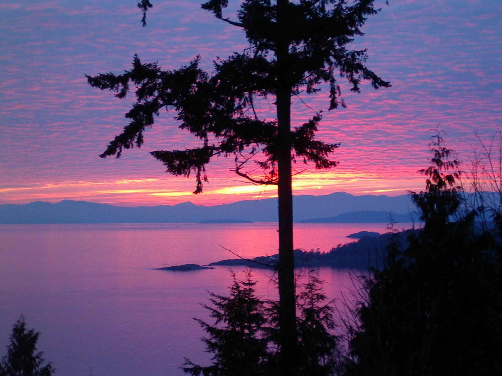 A summer evening on the Sunshine Coast of British Columbia, Canada