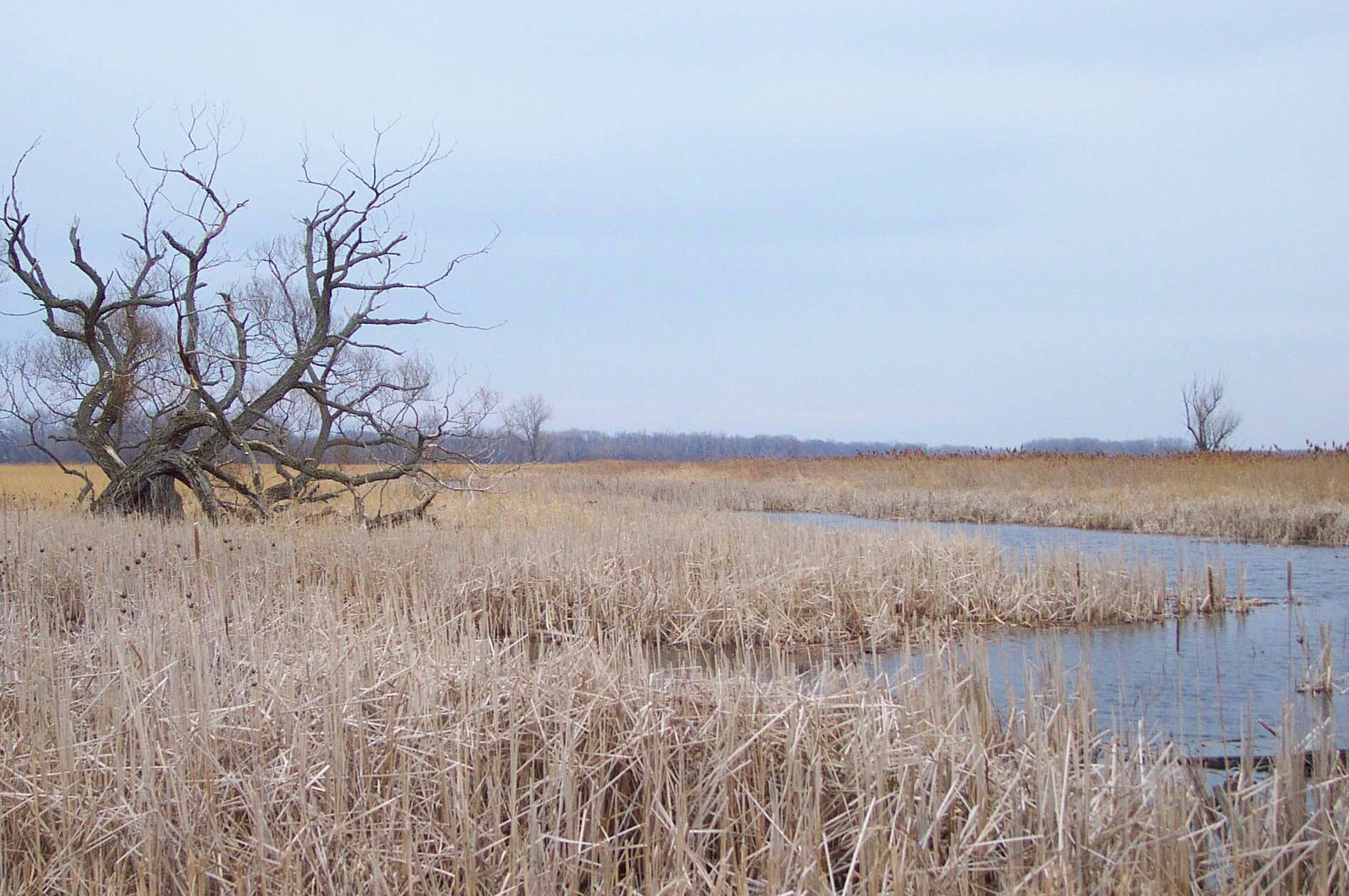 Montezuma Game Preserve - Near Seneca Falls, NY