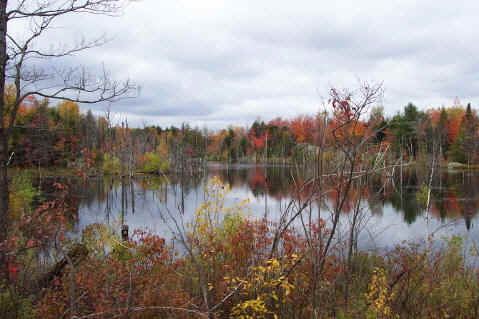 Route 58 near Balmat, NY