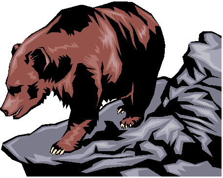 Grizzly Bear