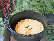 Succulent Chicken Pot Pie