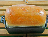 White Bread
