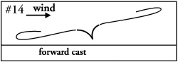 Wind Direction In Your Face