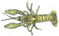 Crayfish: Decapods