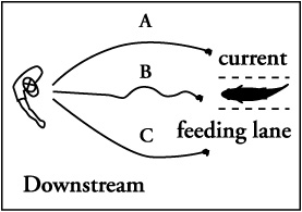 Downstream