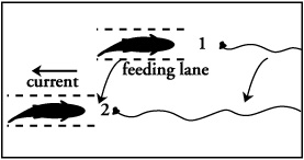 Mini-Slide Method