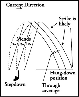 Wet Fly Swing