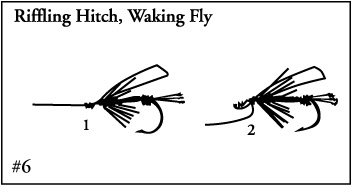 Riffling Hitch, Waking Fly