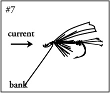 Riffling Hitch, Waking Fly