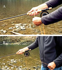 A Pull Retrieve is executed as shown in A B