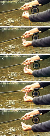 The Hand Twist Retrieve is executed as shown in A-E