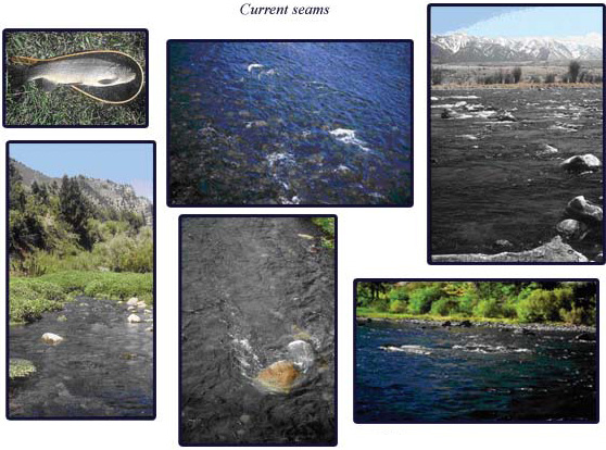 Stream Characteristics Exposure: Current seams