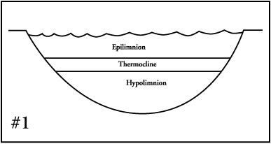 Reservoirs