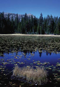 Selecting Alpine Lakes