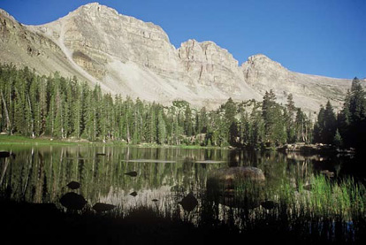 Shoreline vegetation furnishes both shade and cover.