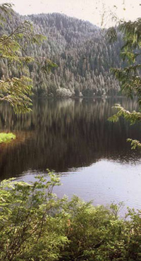 Drop-offs shelter fish from bird predation.