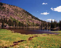 Inlets erode winding channels through a lake bottom.