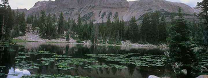 Alpine lake