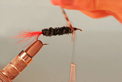 Wing: (Wet Fly Down Wing) (Yarn Hair)