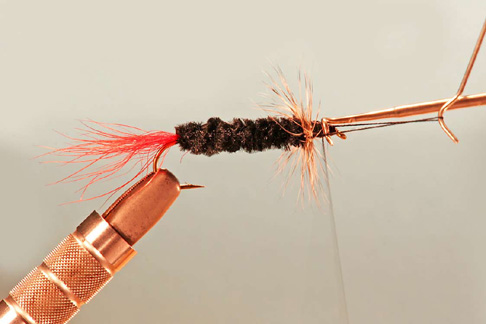 Hackles (Dry Fly Traditional)