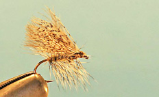 CDC Caddis