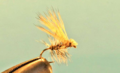 Elk Hair Caddis Grizzly