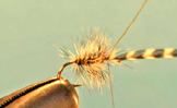 Elk Hair Caddis Grizzly