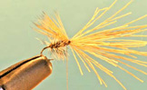 Elk Hair Caddis Grizzly