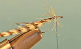 Gray Drake Spinner