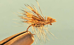 Gray Caddis