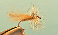 Henrys Fork Caddis