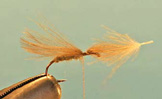 Henrys Fork Caddis