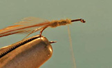 Stimulator Caddis