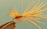 Stimulator Caddis