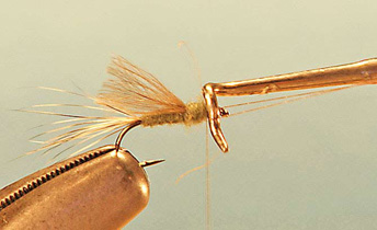 CDC Dun Emerger