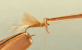 CDC Dun Emerger