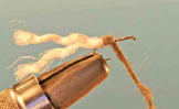 Deep Caddis Pupa