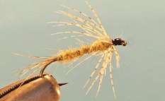 Hares Ear Soft Hackle