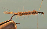 Hares Ear Soft Hackle