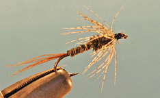Pheasant Tail Soft Hackle