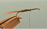 Pheasant Tail Soft Hackle