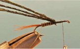 Pheasant Tail Soft Hackle