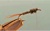 Pheasant Tail Soft Hackle