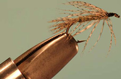 Soft Hackle Olive