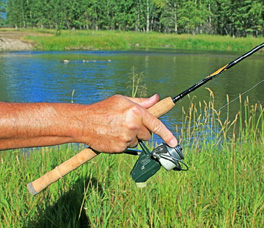 Spin Rod
